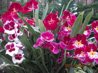 Longwood Gardens