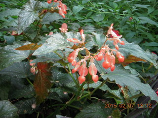 Longwood Gardens