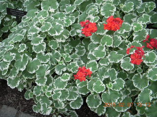 Longwood Gardens