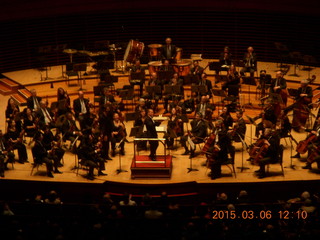 Adam's birthday cupcakes