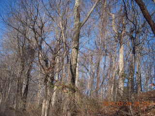 Lorimer Park old rail trail