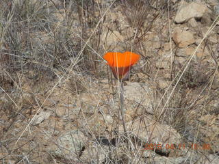 Bagdad run/hike - Neil W