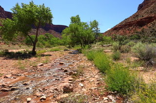 87 8zv. Beaver Creek Canyon hike