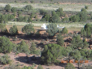 1527 8zw. Gateway hike - N8377W