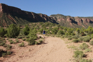 129 8zw. drive to Calamity Mine - Adam running (back)