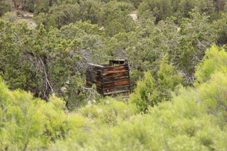 534 8zw. Calamity Mine camp site