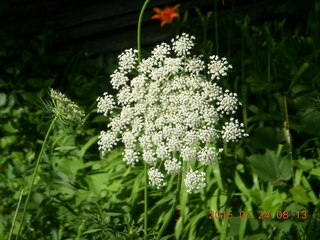 Welch, Minnesota, run