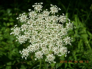 Welch, Minnesota, run