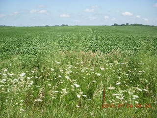 Afton, Minnesota, run - meadow