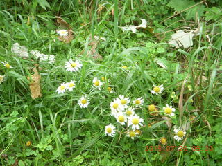 Afton, Minnesota, run