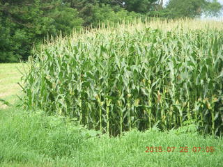 Afton, Minnesota, run