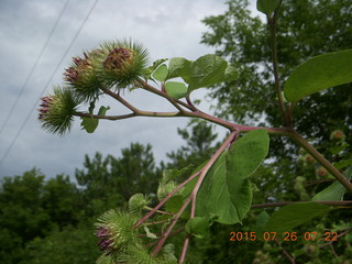 Afton, Minnesota, run