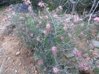 Beth B hike Spur Cross - Beth's pictures