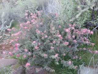 Beth B hike Spur Cross - Beth's pictures