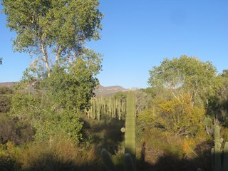 Beth B hike Spur Cross - Beth's pictures