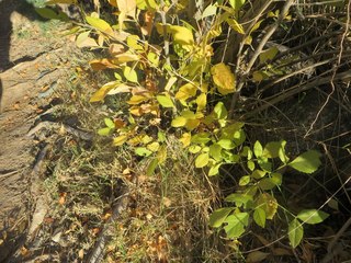 Beth B hike Spur Cross - Beth's pictures