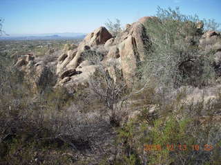 Pinnacle Peak hike - saguaro cactus