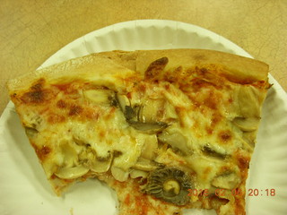 half eaten pizza slice