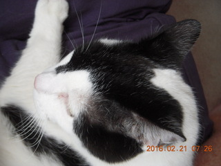 Alamo Lake pictures - Adam and N8377W