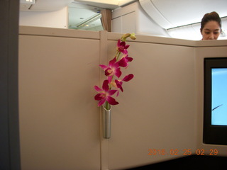 long flights LAX to HKG to BKK - flowers