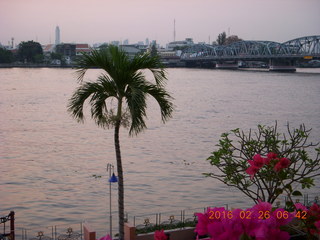Bangkok - Royal River Hotel palm tree