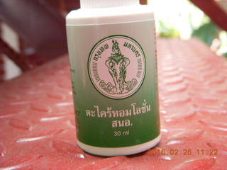 Bangkok - Phisit's place - bug ointment