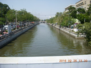 Bangkok - Phisit's place - flower