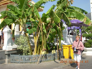 109 98s. Bangkok - giant fruit