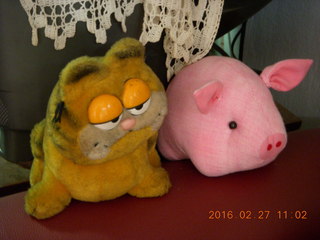 Garfield and piggy
