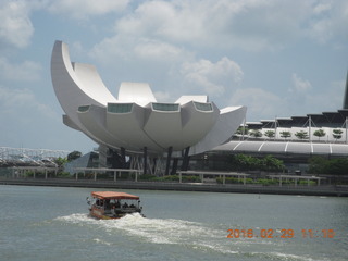 Singapore - coconut drink