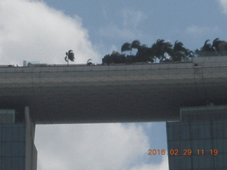 Singapore - Adam spouting Merlion water