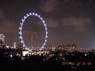Singapore ferris wheel
