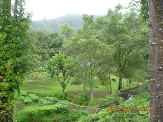 Indonesia tea plantation