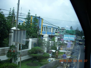 Indonesia tea plantation