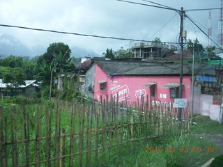 Indonesia tea plantation