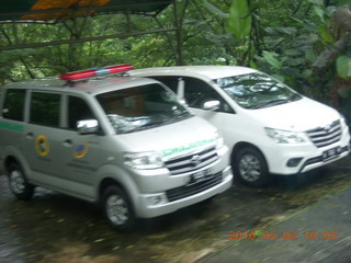 Indonesia tea plantation