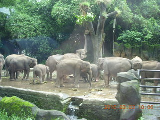 Indonesia Safari ride sign