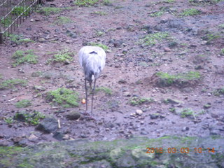 Indonesia Safari ride