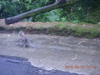 Indonesia Safari ride