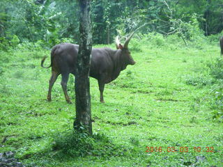 Indonesia Safari ride - waterfalll