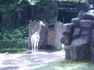 Indonesia Safari ride