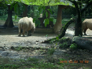 Indonesia Safari ride - tigers