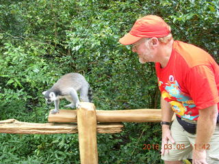 Indonesia Baby Zoo - bobcat