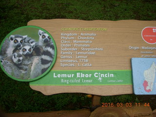 Indonesia Baby Zoo - lemur sign