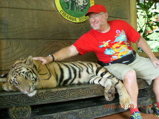 Indonesia Baby Zoo - Adam petting a tiger