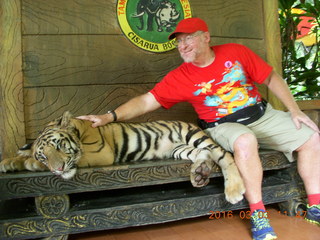 Indonesia Baby Zoo - Adam petting a tiger