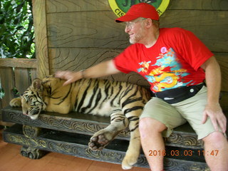 Indonesia Baby Zoo - Adam petting a tiger