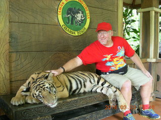 Indonesia Baby Zoo - Adam petting a tiger