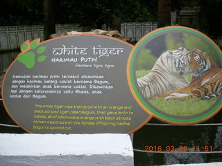 Indonesia Baby Zoo sign