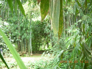 Indonesia Bogur Botanical Garden